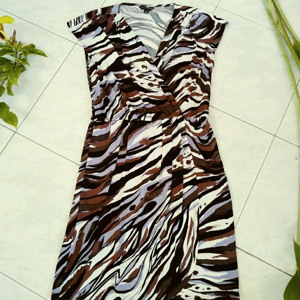 Multi color Zebra print dress